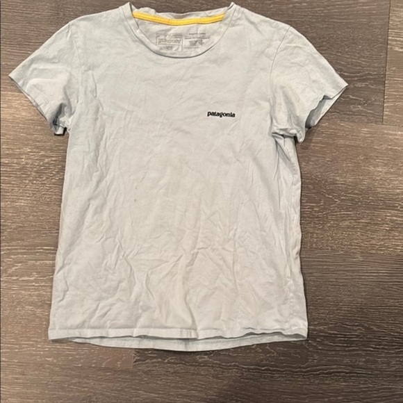 Patagonia Tops - Patagonia Light Blue T-Shirt